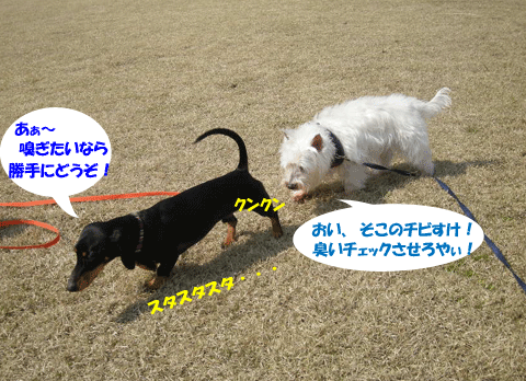 e0066883_22411260.gif