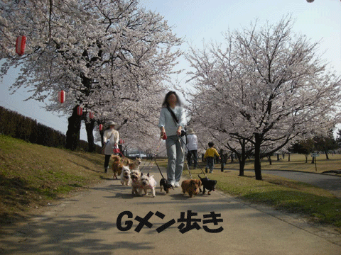 e0066883_2253214.gif