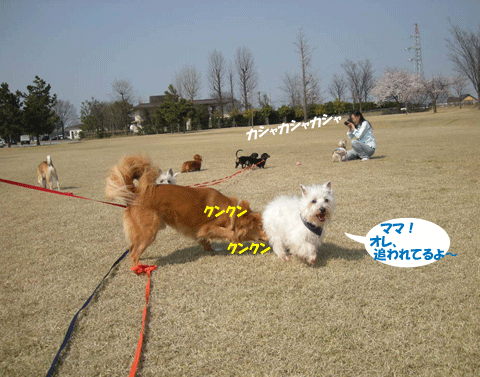 e0066883_23154932.gif