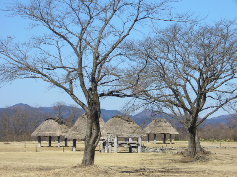 c0168584_21201569.jpg