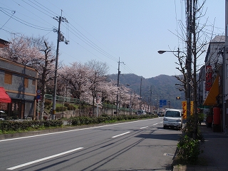c0105785_109528.jpg