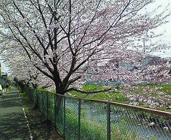c0014187_7562072.jpg