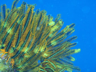 e0028387_22335835.jpg