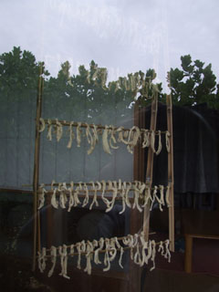 e0028387_22464914.jpg