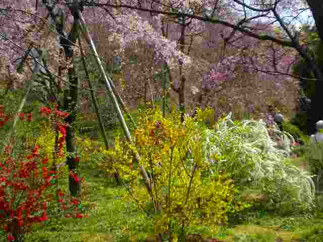 a0109288_20213645.jpg