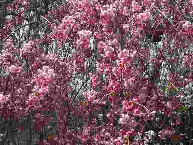 a0109288_20224059.jpg
