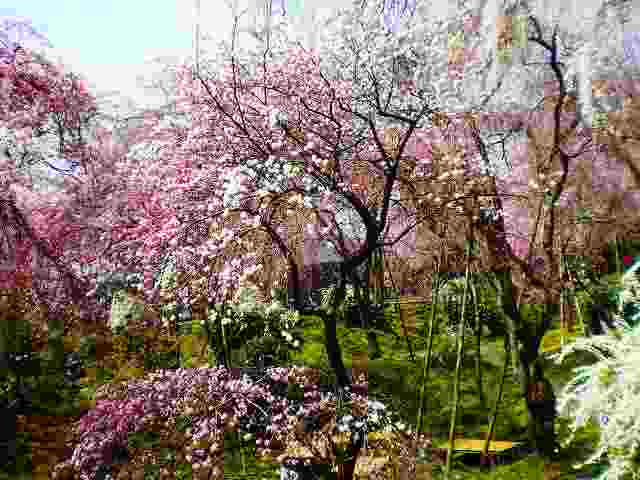 a0109288_2183955.jpg