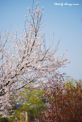 c0156789_2212727.jpg