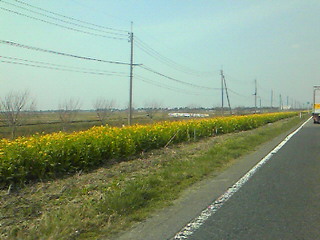 b0080090_16412062.jpg