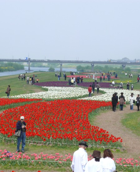 b0146391_14592736.jpg