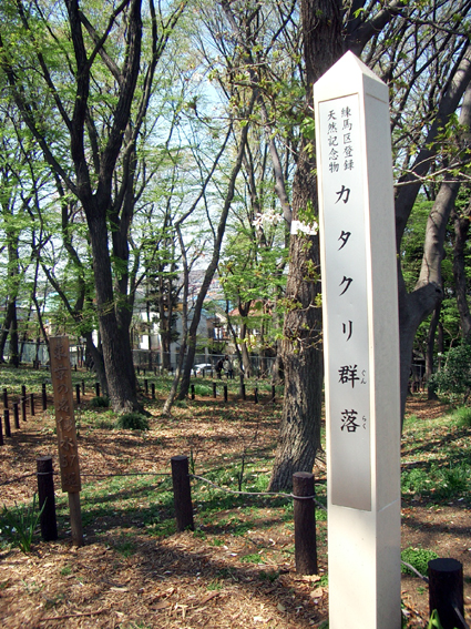 f0022292_23255459.jpg