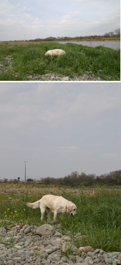 b0154393_16504071.jpg