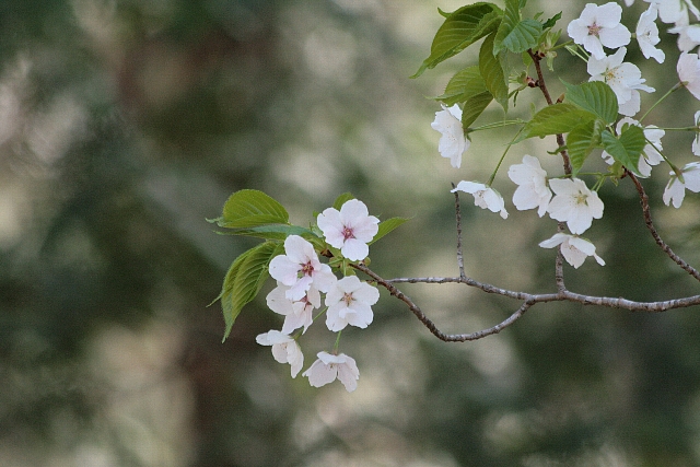 d0133693_0213946.jpg