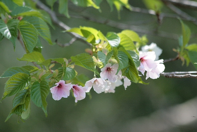 d0133693_021417.jpg
