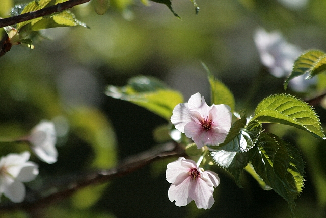 d0133693_0223886.jpg
