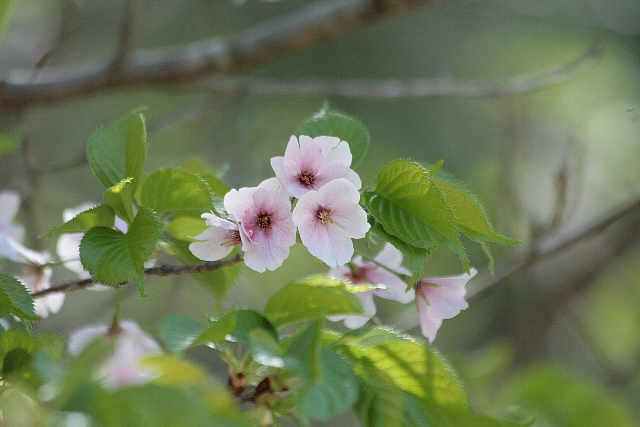 d0133693_022726.jpg