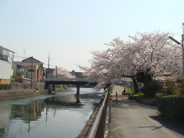 e0111793_132479.jpg
