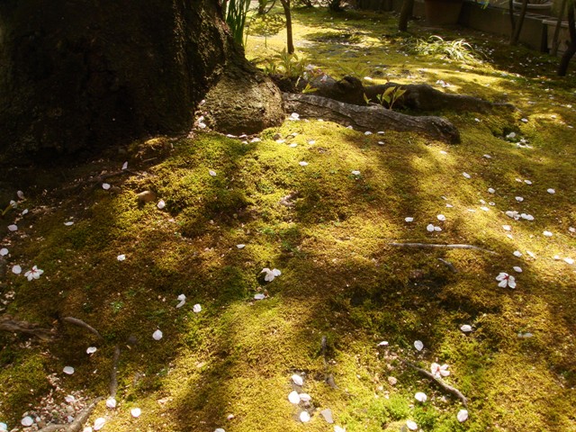 e0111793_146248.jpg