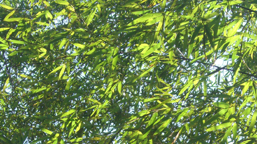 b0099994_9273857.jpg
