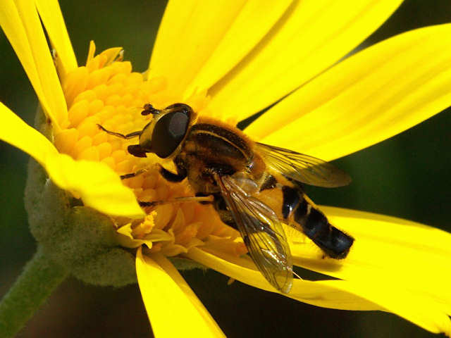 f0204094_14241173.jpg