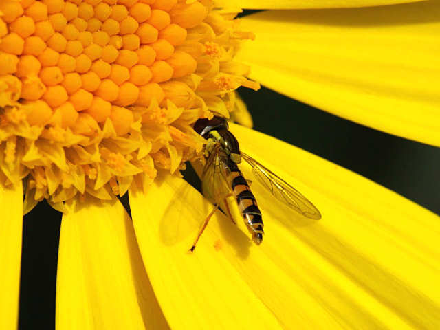 f0204094_942451.jpg