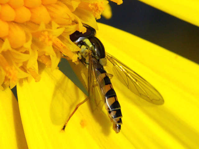 f0204094_9425023.jpg