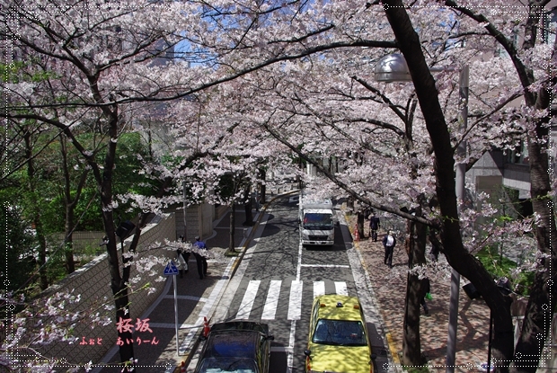 c0164195_21322097.jpg