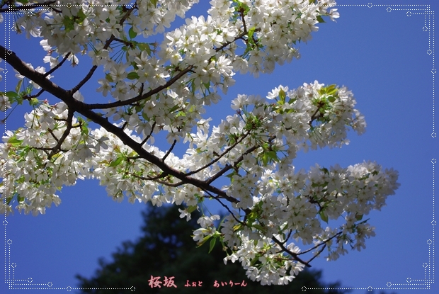 c0164195_2133367.jpg