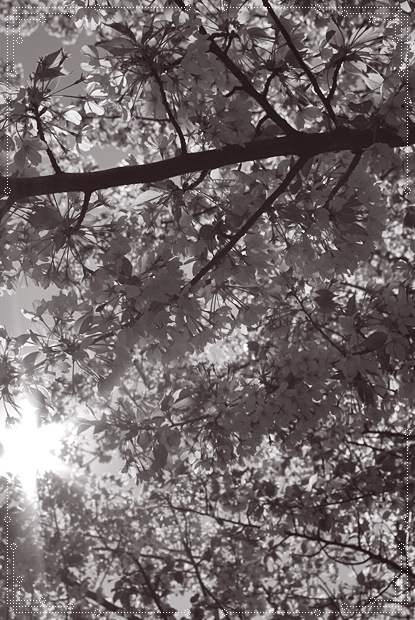 c0164195_21355817.jpg