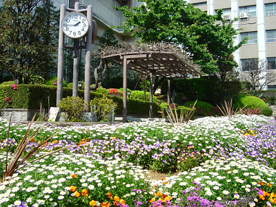f0155795_20315351.jpg