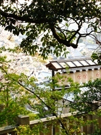 c0173697_055429.jpg