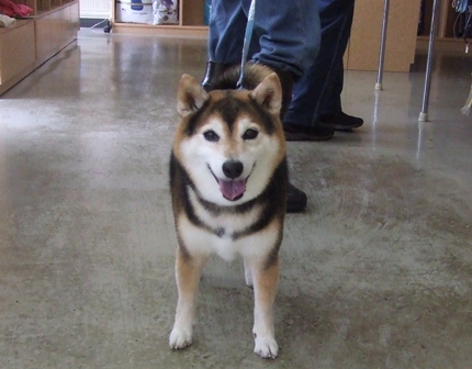 f0077697_18253482.jpg