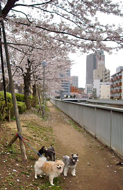 c0138198_13574356.jpg