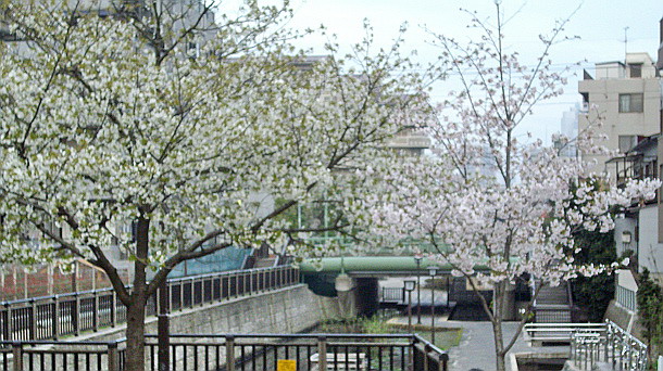 c0138198_1412511.jpg