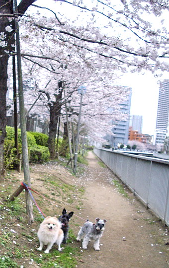 c0138198_1415637.jpg