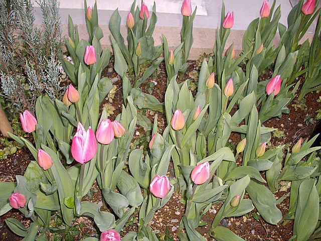 c0138198_14174587.jpg