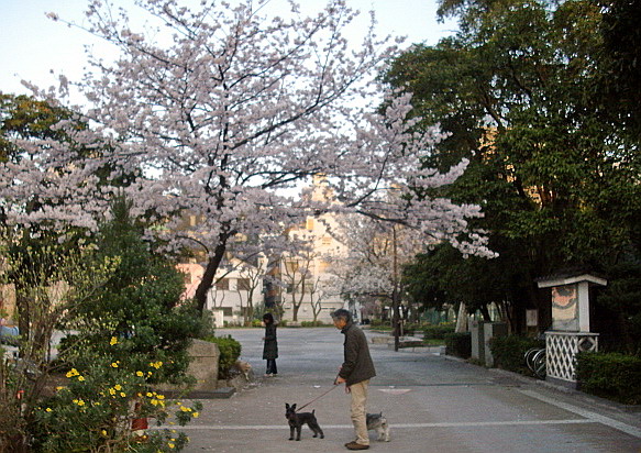 c0138198_14262429.jpg