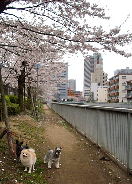 c0138198_143778.jpg