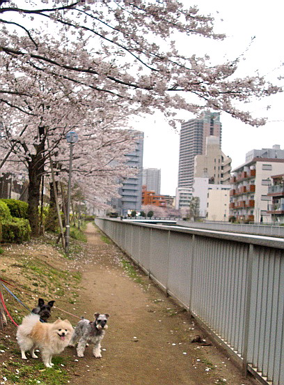 c0138198_148116.jpg