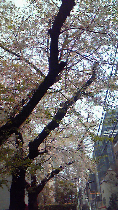 e0156298_18401725.jpg