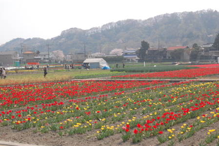 a0011999_23493058.jpg