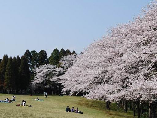 e0025300_1635185.jpg