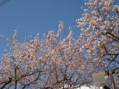 d0046702_153551.jpg