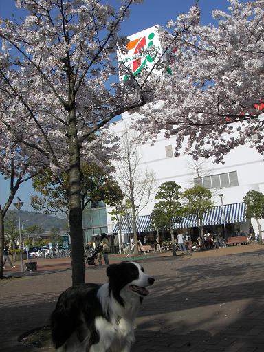 f0034602_204266.jpg