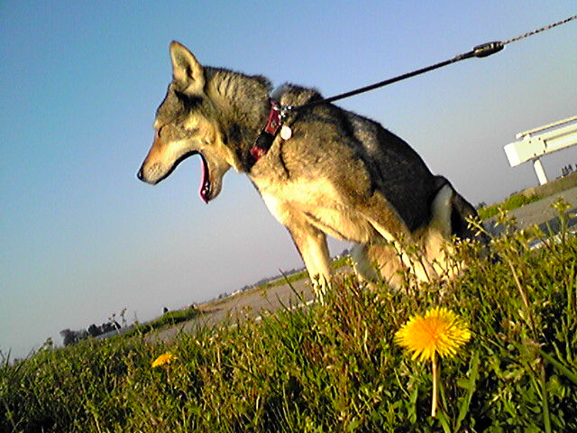 f0079202_1711141.jpg