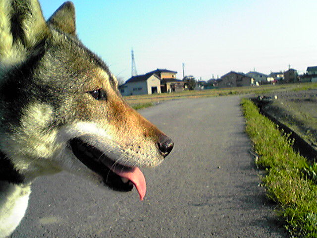 f0079202_1711167.jpg