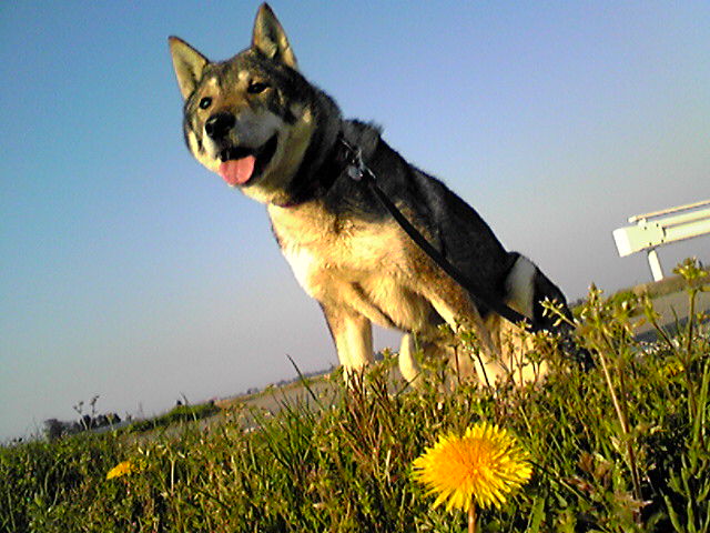 f0079202_1711185.jpg