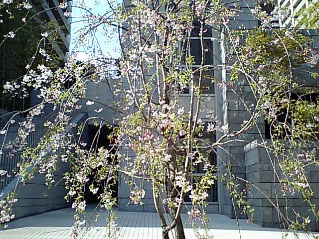 d0054704_149162.jpg