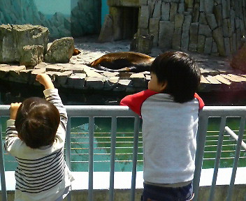 e0033013_1733299.jpg