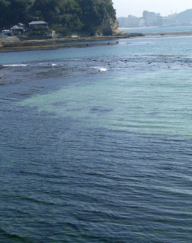 f0036716_21253425.jpg